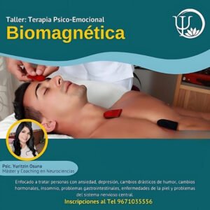 Curso de Ajuste Psicoemocional Biomagnético